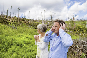Senior couple at destroyed forest as an effect of strong storm in High Tatras, Slovakia